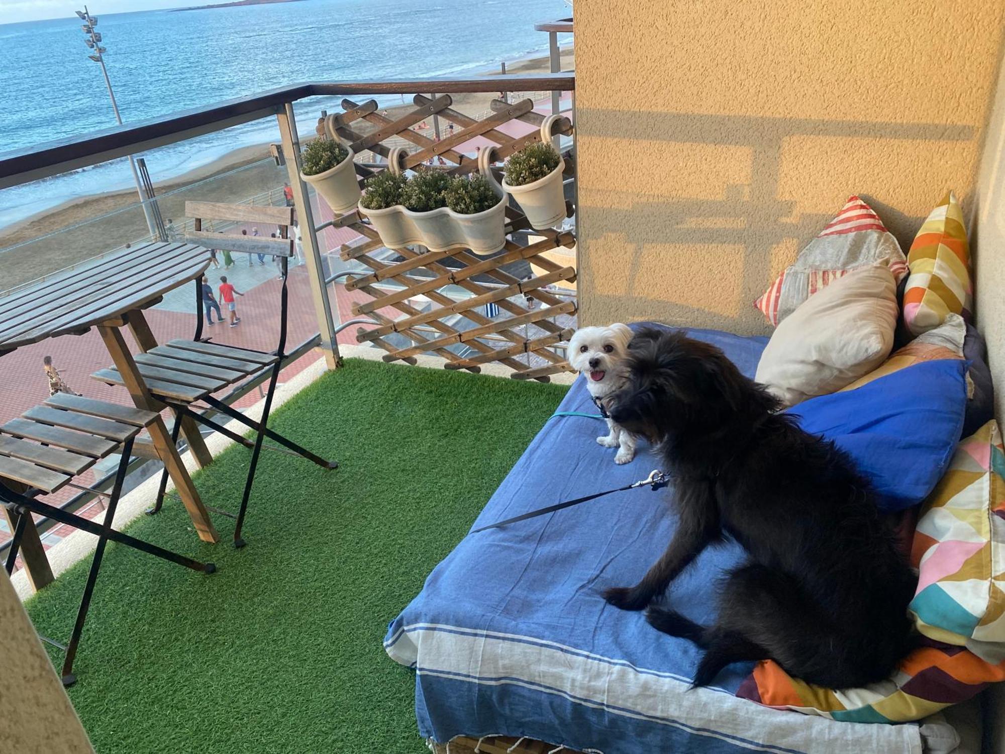 Apartament Mar Y Playa De Martin, 2B Las Palmas de Gran Canaria Zewnętrze zdjęcie